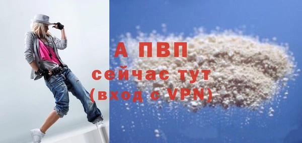 apvp Алзамай