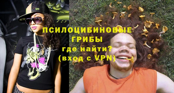 apvp Алзамай