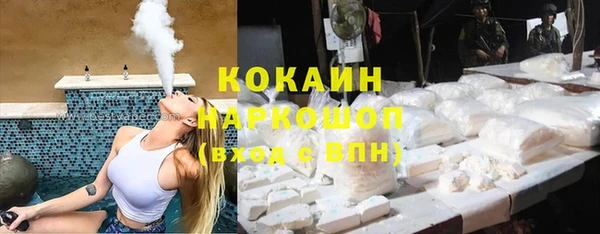 apvp Алзамай