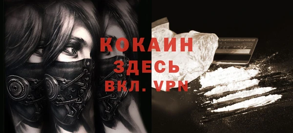 apvp Алзамай